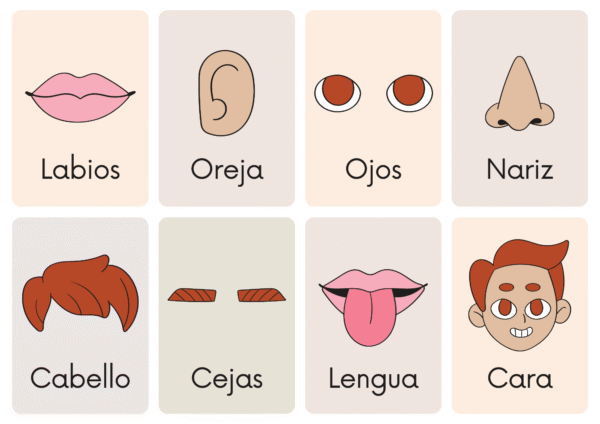 Cabeza caric